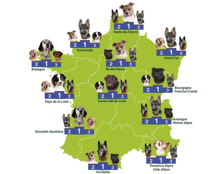 Carte de France de vos chiens de race préférés, région par région